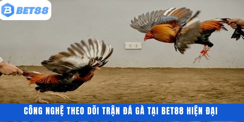 Công nghệ theo dõi trận đá gà tại BET88 hiện đại