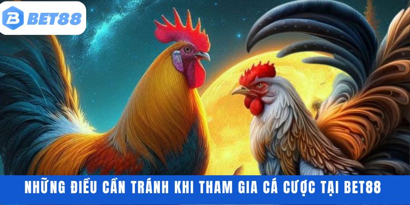 Những điều cần tránh khi tham gia cá cược tại BET88